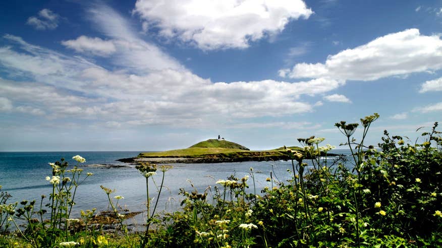 A view of flowers and blue skies with Ballycotton Island in the distance