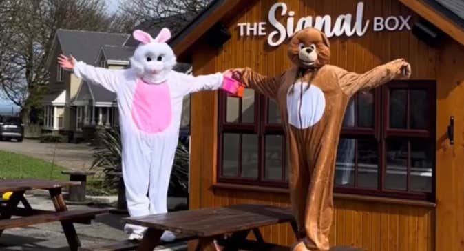2 people in a rabbit and bear costume are standing on picnic bench with their arms outstretched in front of a small brown cabin.