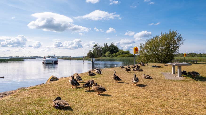 A boat cruising into Portumna in Co Galway