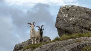 Beara Peninsula