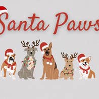 Get ready for wagging tails, floppy ears, and festive cheer because Santa Paws is back at Newbridge House and Farm