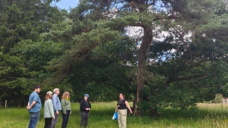 A small group of people and a guide standing by a tree