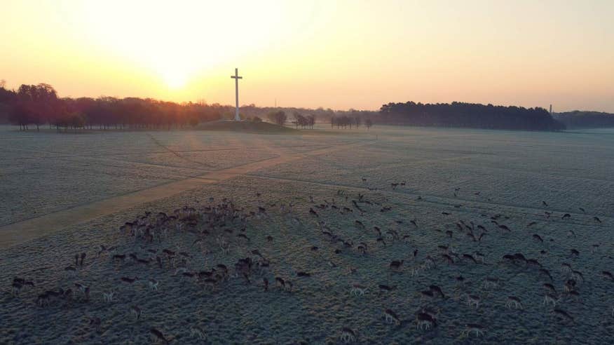 The papal cross in Phoenix Park behind the sunrise with many deer in the winter time.