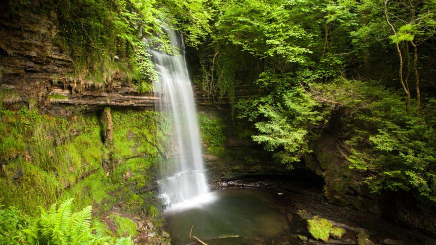 A view of water cascading down rich greenery at Glencar Waterfall, Leitrim