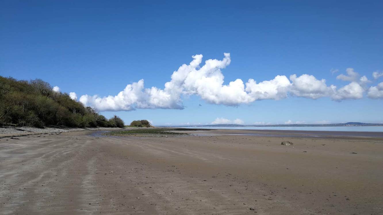 Sandy beach with green trees on one side and the sea on the other