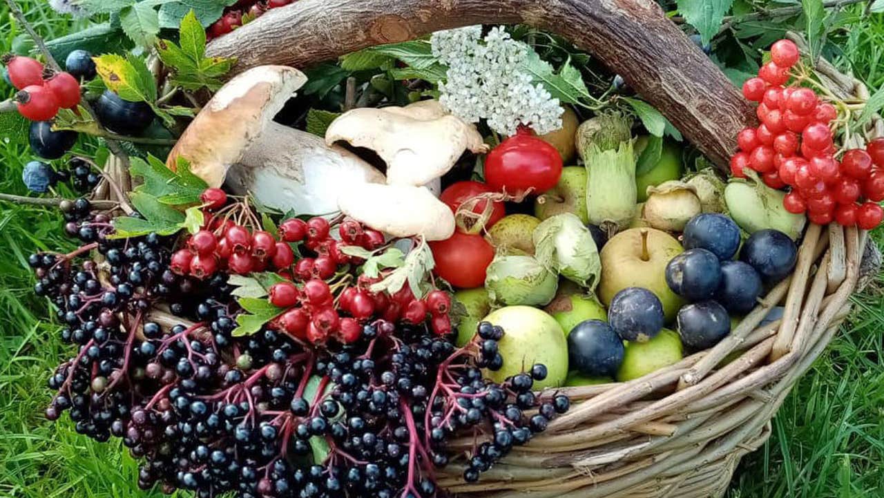 Wild Food Ways basket of foraged herbs, fruit, mushrooms and nuts