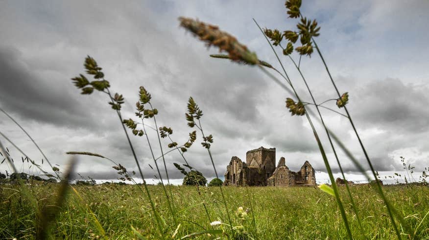 Green fields in front of Hore Abbey, Tipperary