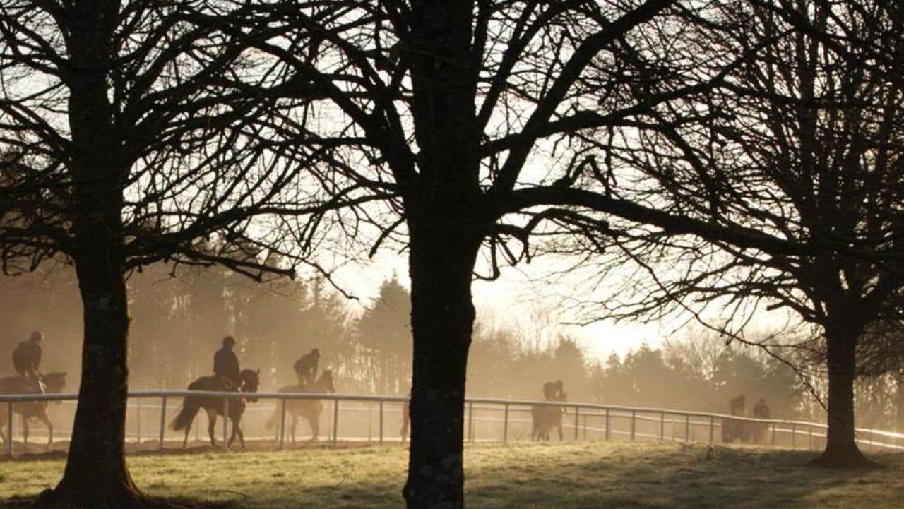 Horses and riders on a track on a misty afternoon