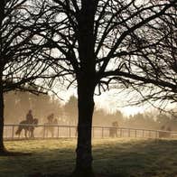 Horses and riders on a track on a misty afternoon