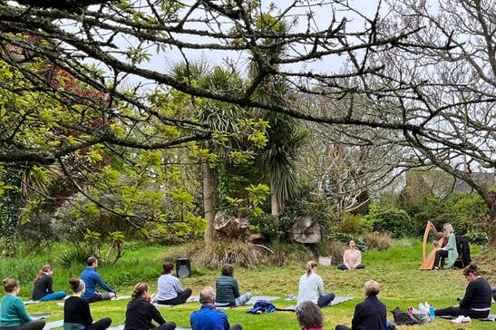Fiddle Fair Outdoor Musical Yoga, people seated on mats spread out on grass, facing towards a person seated playing a harp, trees in the background.