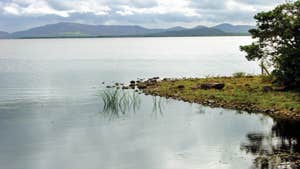 Marjorie's Cookery School & Guest Accommodation