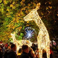 Image of Christmas events to fill your festive calendar
