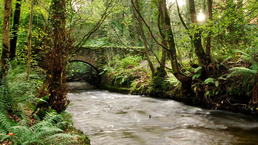 Stone bridge over a river in Dun na Ri Forest Park County Cavan