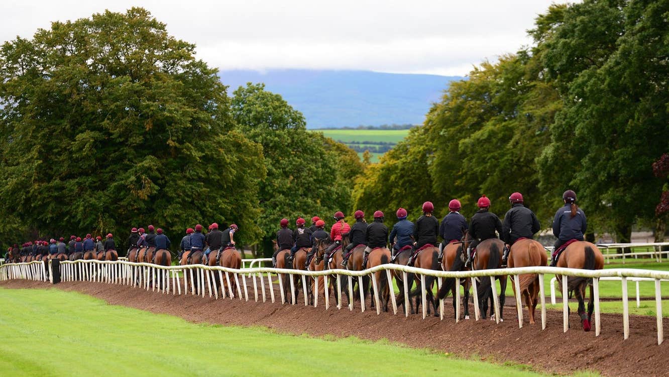 A line of horses and their jockeys make their way along a fenced racing track