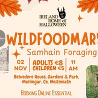 Samhain Foraging Tour with Wildfoodmary