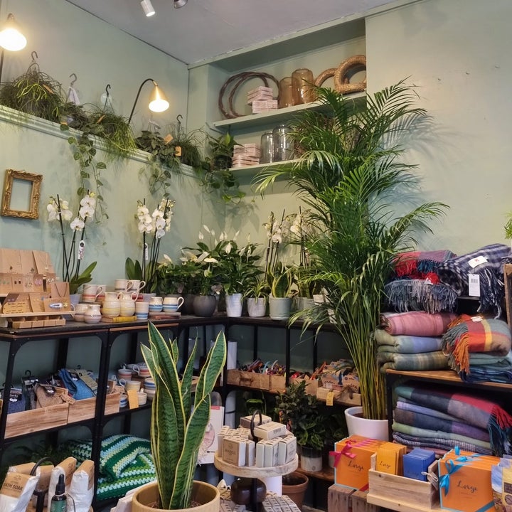 The shop display inside Adonis Flower Designers with a selection of plants, handmade throws, scarves and gifts