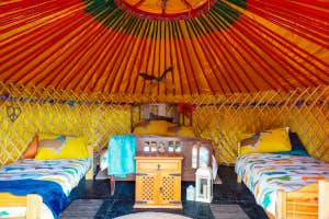 Willowbrook Glamping and Hideaways