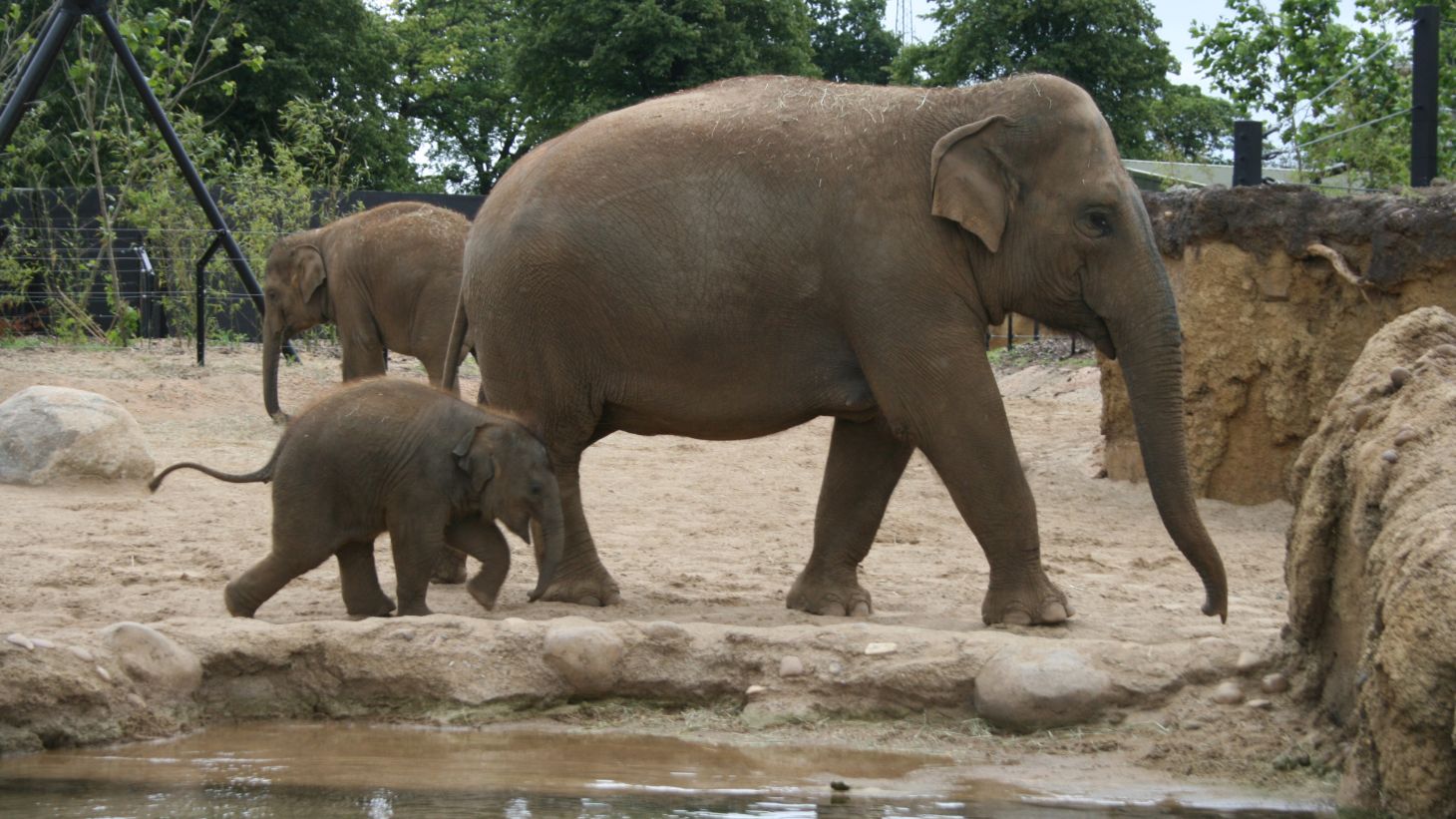 No trip to Dublin is complete without a visit to Dublin Zoo.