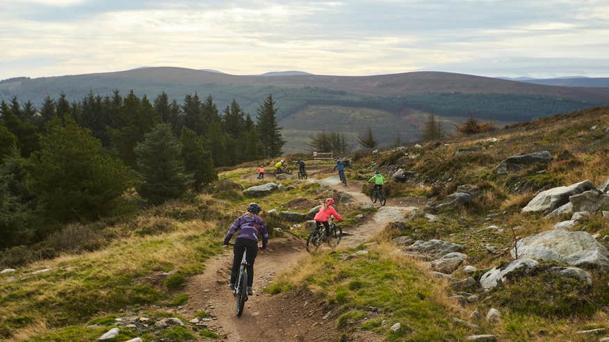 People mountain biking the trails in Ticknock, Co Dublin
