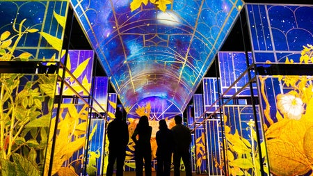 People admiring the reimagined Long Room at The Book of Kells Experience