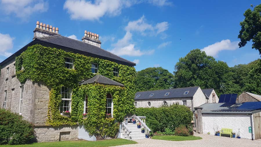 exterior with ivy frontage