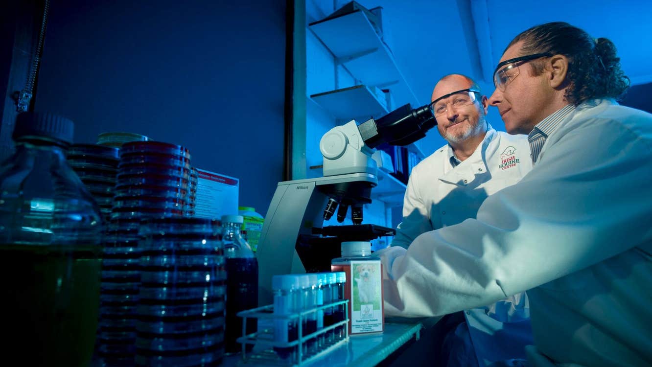 Scientists using a microscope and laboratory equipment to study samples related to horse health