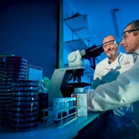 Scientists using a microscope and laboratory equipment to study samples related to horse health