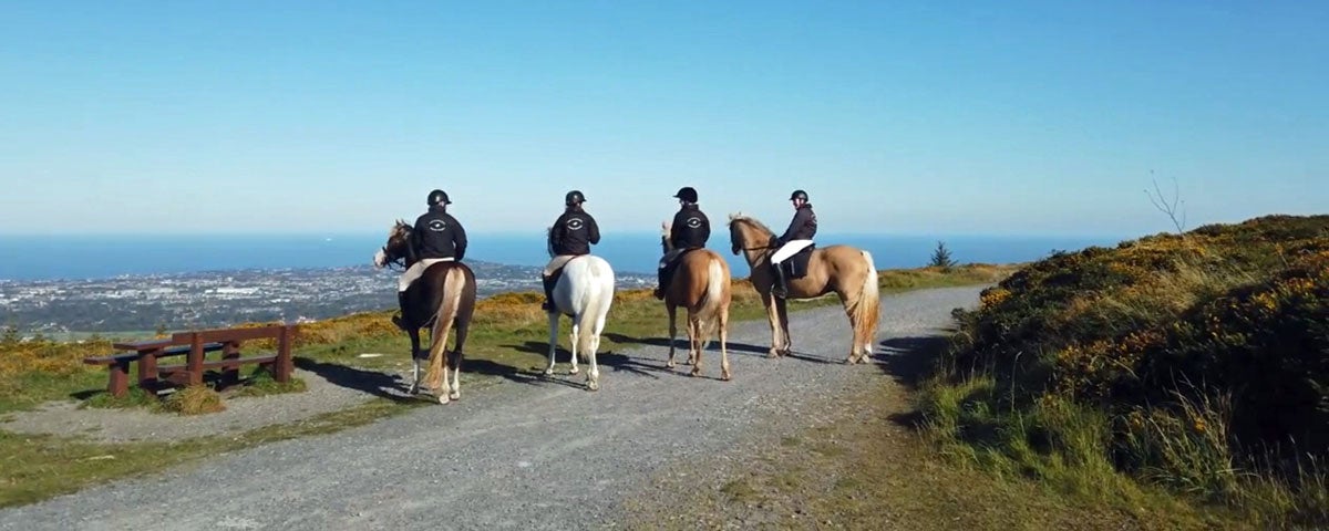 Four riders and their horses looking out over a vantage point on a trek