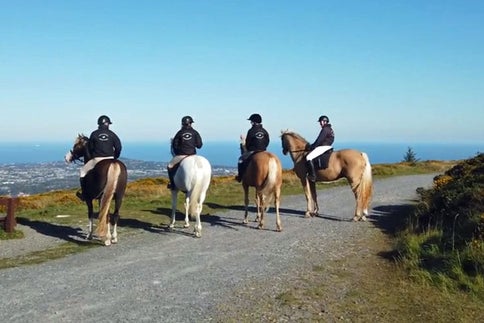 wolfhound tours ireland