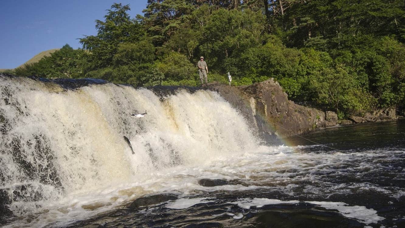Falls at a river with salmon leaping up the falls as fishermen watch