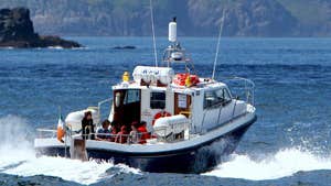 Blasket Islands Eco Marine and Whale Watching  Boat Tours
