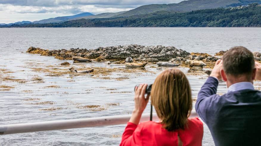 Two people seal watching, Kenmare, Kerry