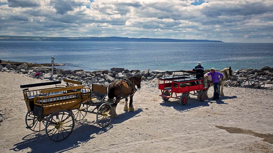 Two Pony and Trap beside the sea in Inis Mor, Aran Islands, Galway