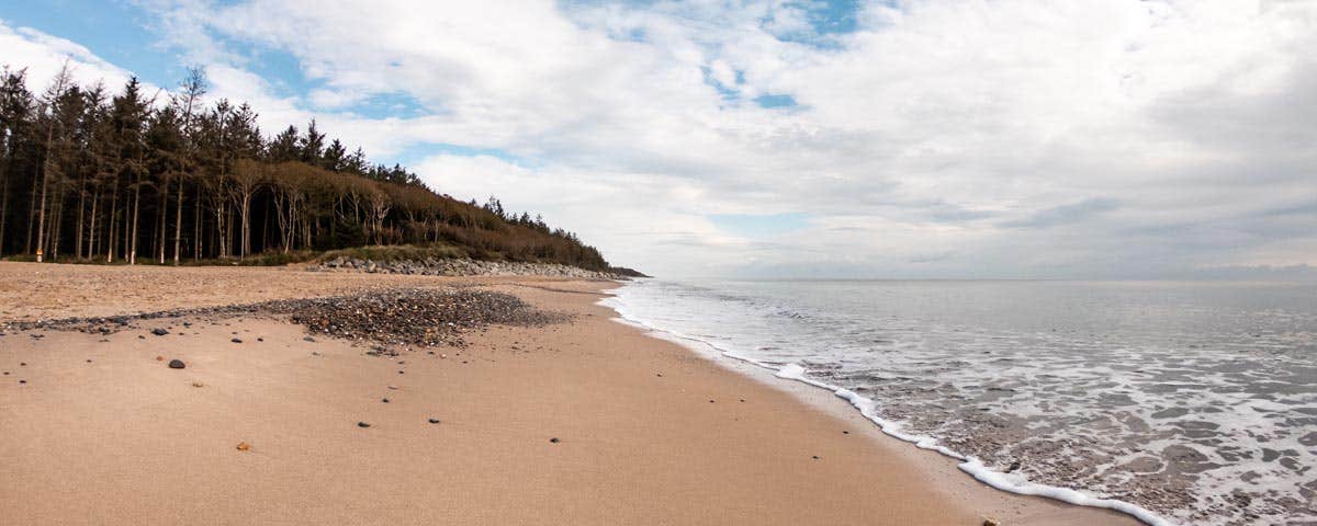 View of beach and sea at Courtown Beach