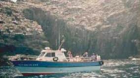 Casey's Skellig Boat Trips