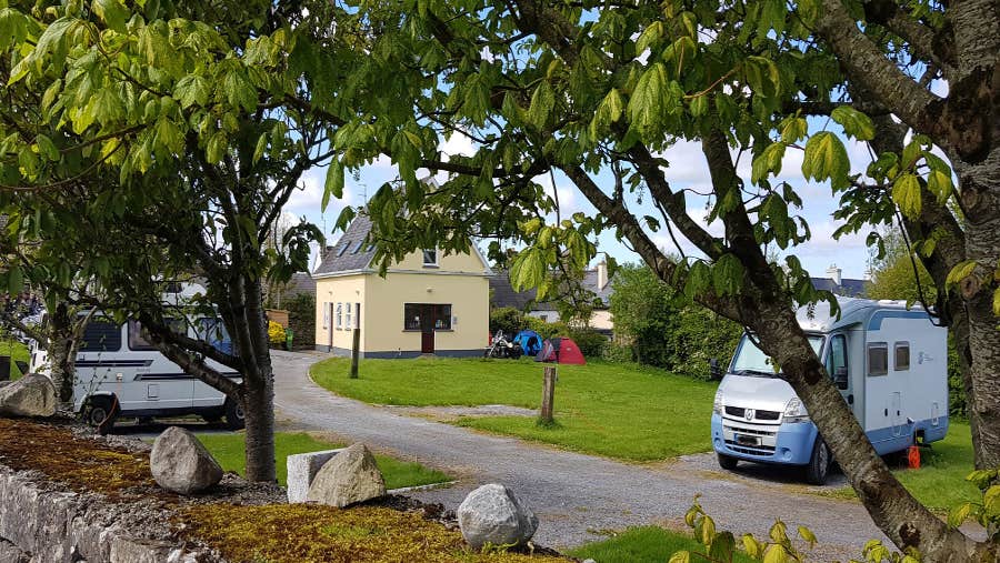 Mature trees in camping park