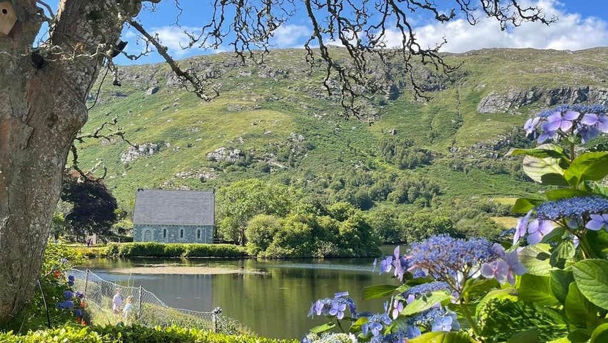Gougane Barra across a lake with trees and purple flowering plant in foreground