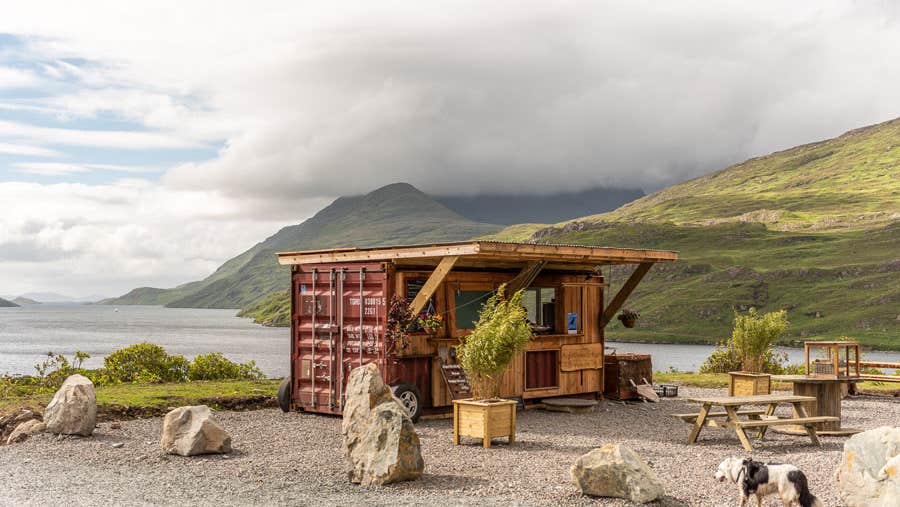 Food truck near the coast with a dog