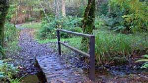 Glenbawn wood