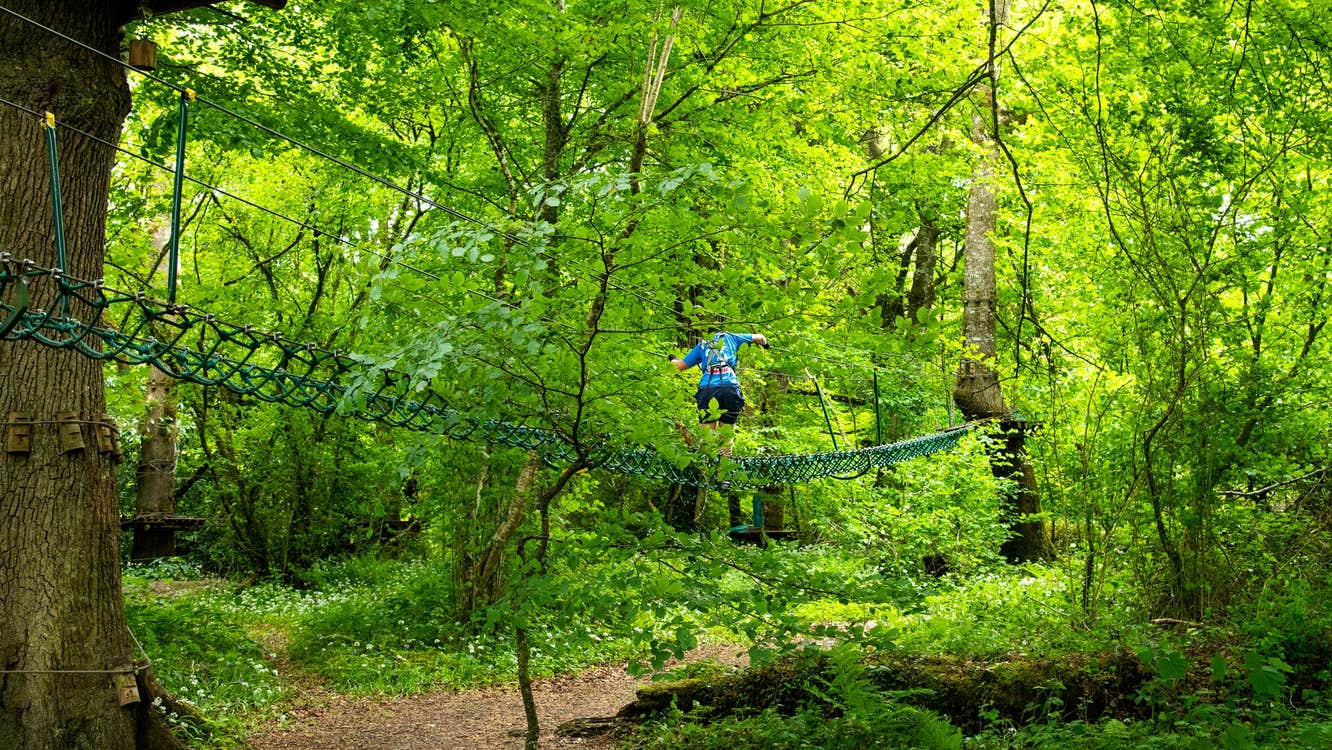 Ziplining at Lough key Forest and Activity Park, Co. Roscommon