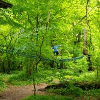 Ziplining at Lough key Forest and Activity Park, Co. Roscommon