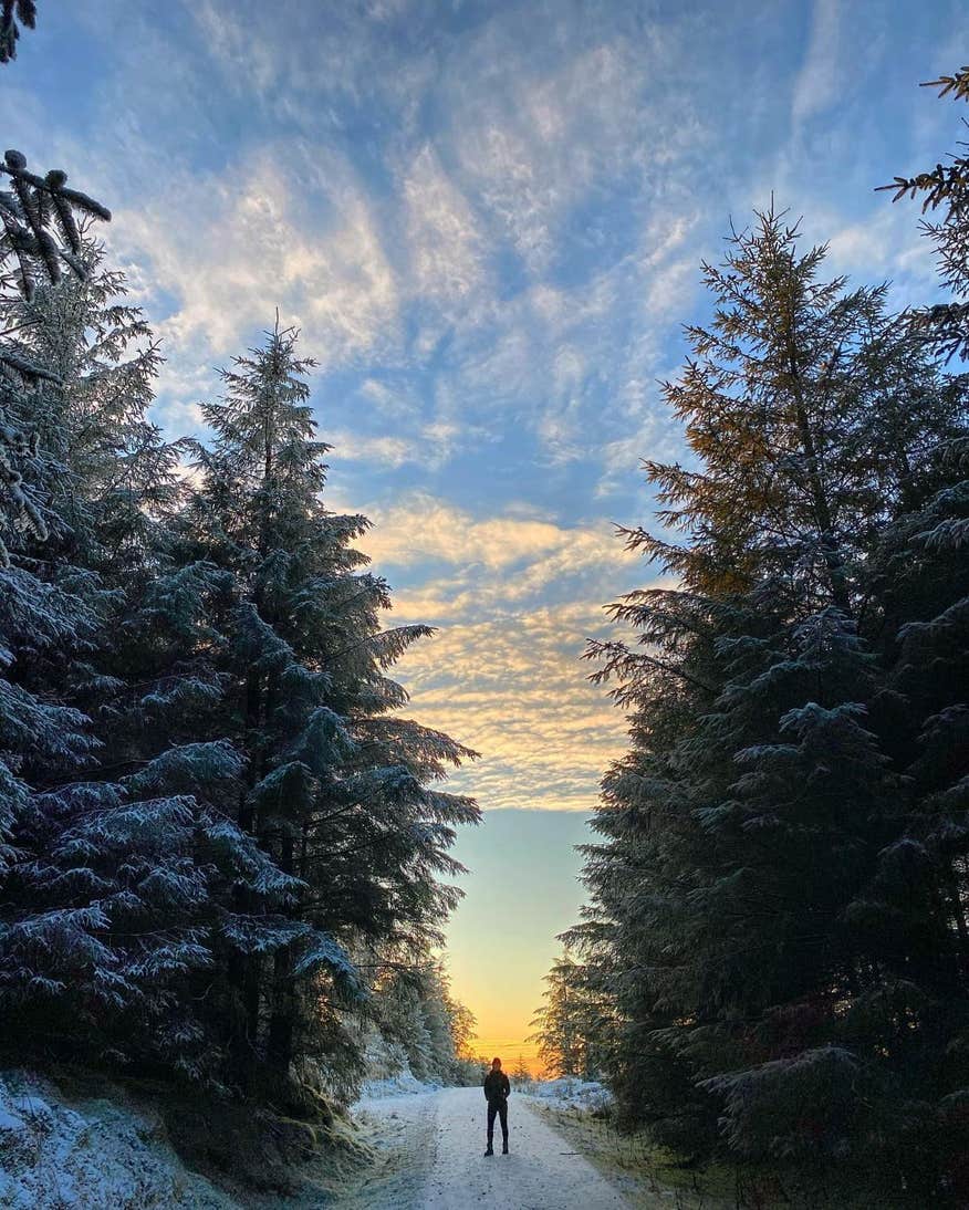 Person standing beside tall evergreen trees on a snowy trail in Carrick-on-Shannon.