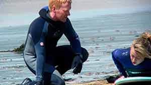 Ocean Scene Surf School