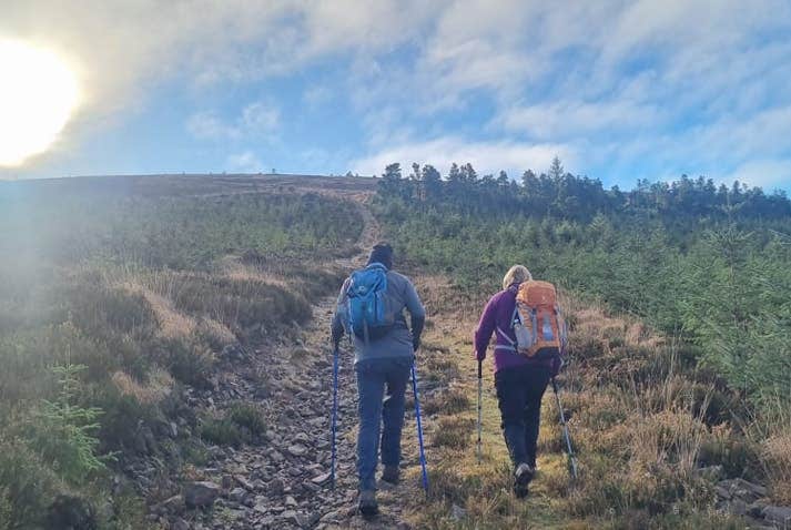 Rear view of 2 people with rucksacks and walking poles on a track through greenery heading up hill with sun haze and blue and white sky.