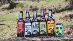 Image of a selection of beer bottles with different coloured labels