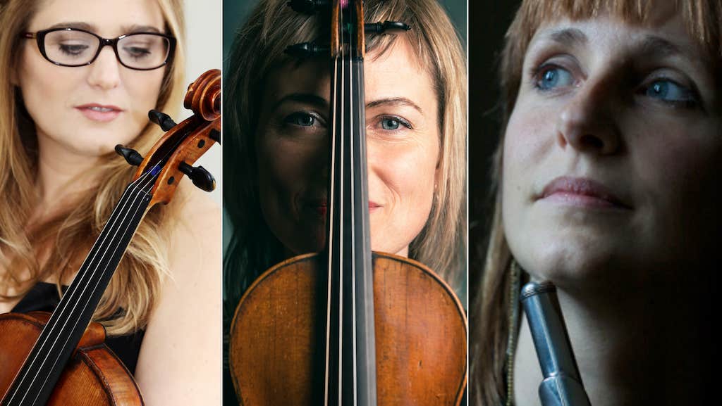 Musici Ireland in Kilkenny Castle on 25 January