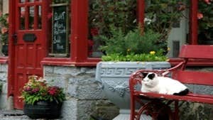 Relaxing in Cong, Co Mayo