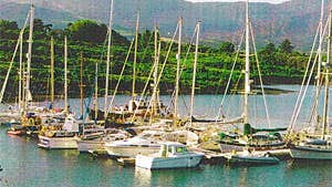 Lawrence Cove Marina