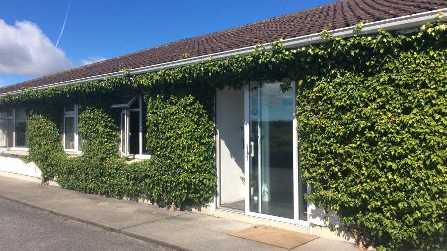 Exterior of house with walled ivy