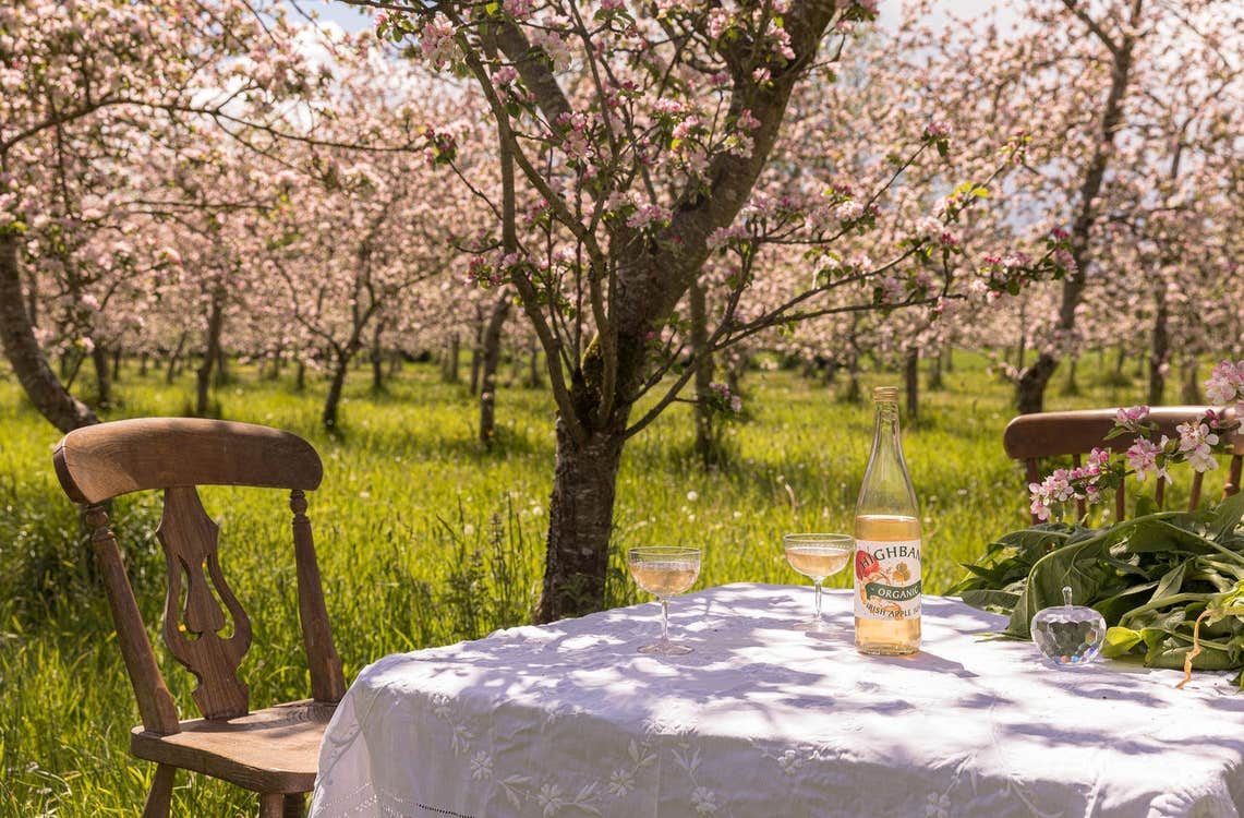 A table with a white tablecloth surrounded by trees full of blossoms